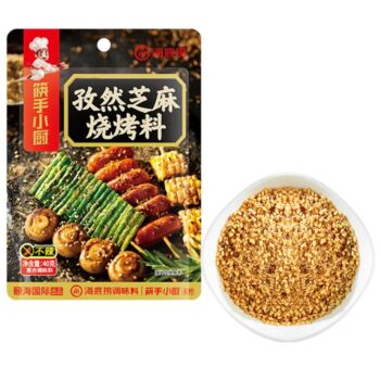 海底捞 孜然芝麻烧烤料 40g
