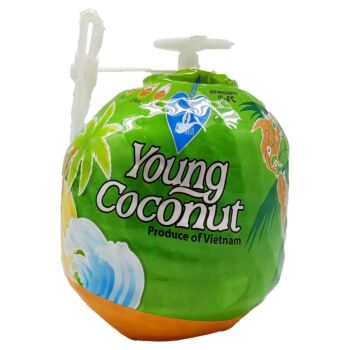 新鲜椰子椰青 1个